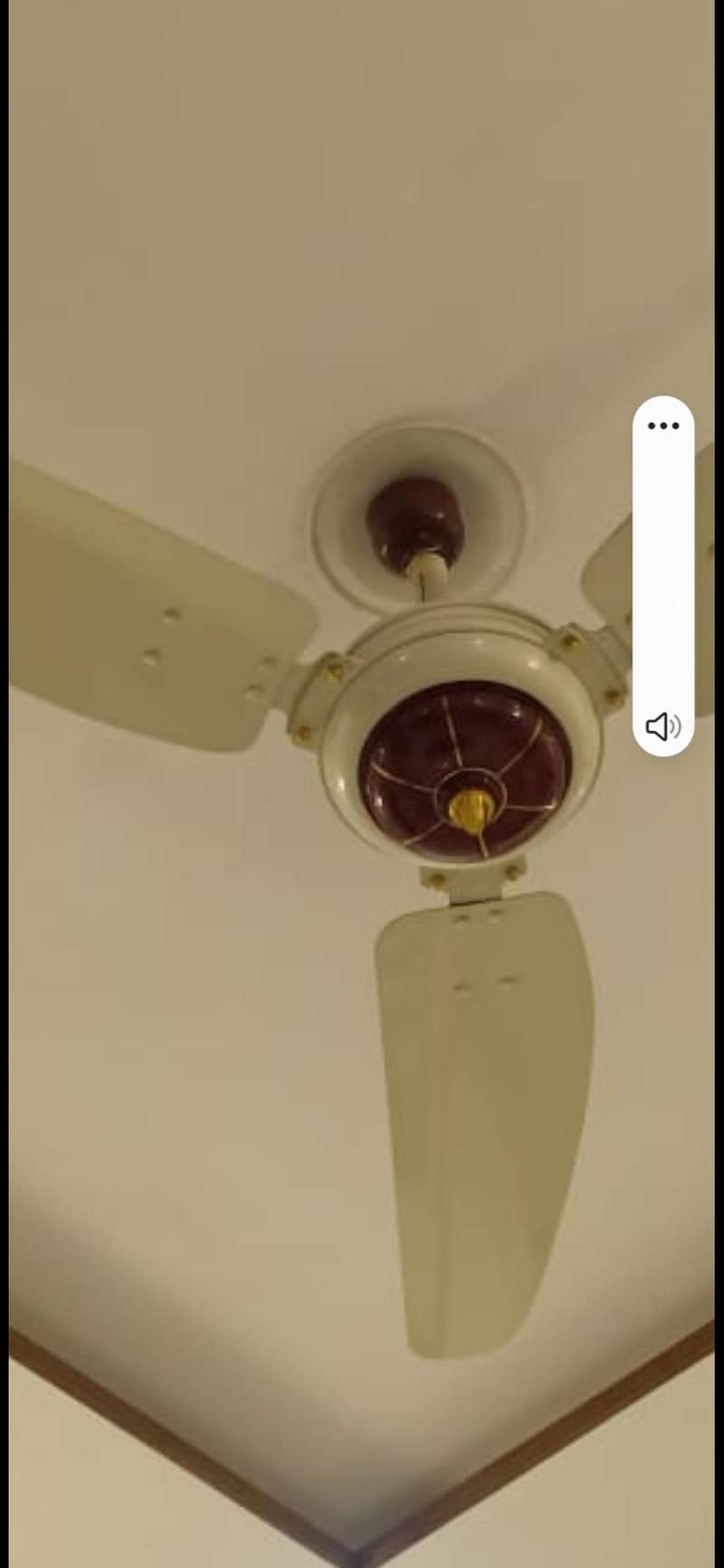 royal ceiling fan 0