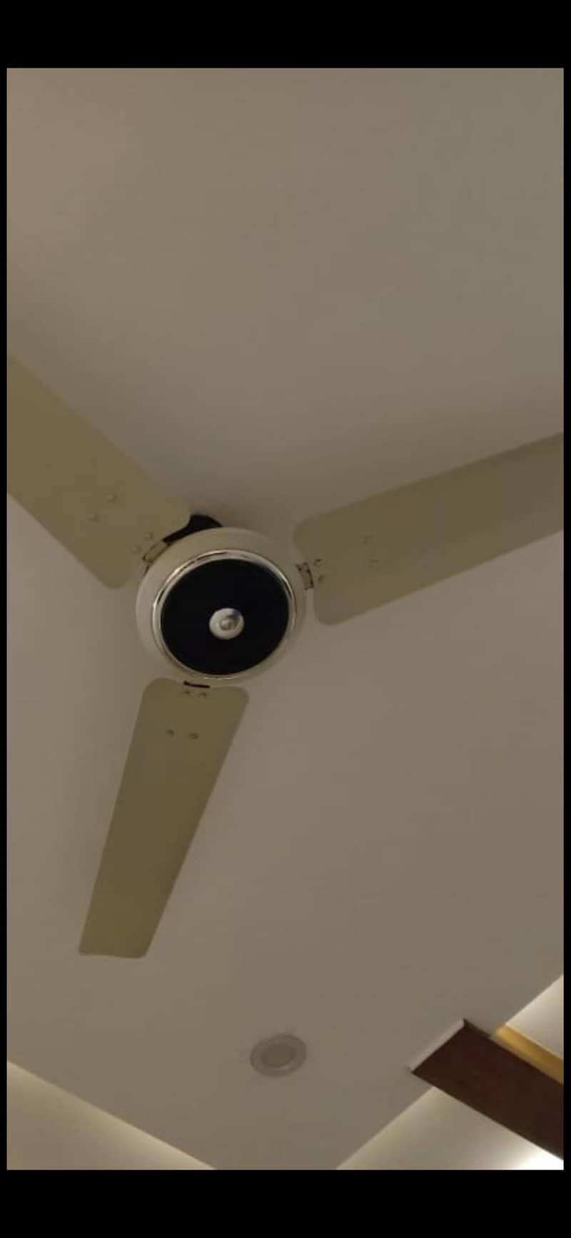 royal ceiling fan 2