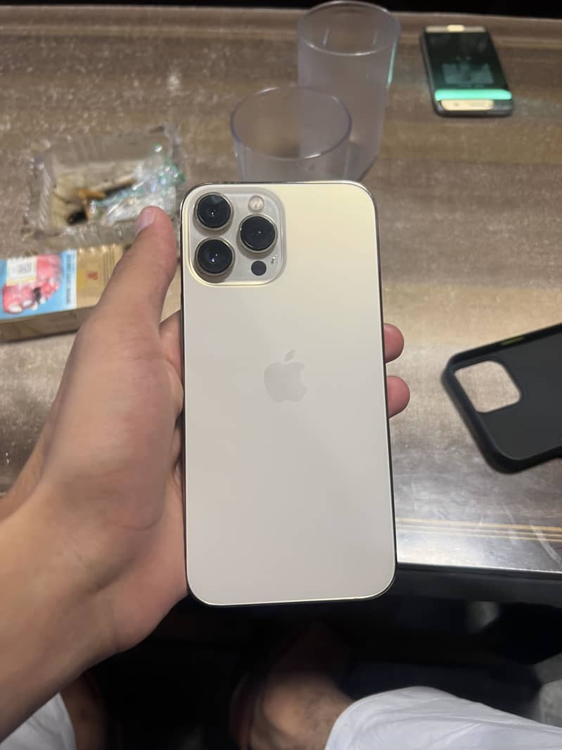 Apple iPhone 13 Pro Max 1