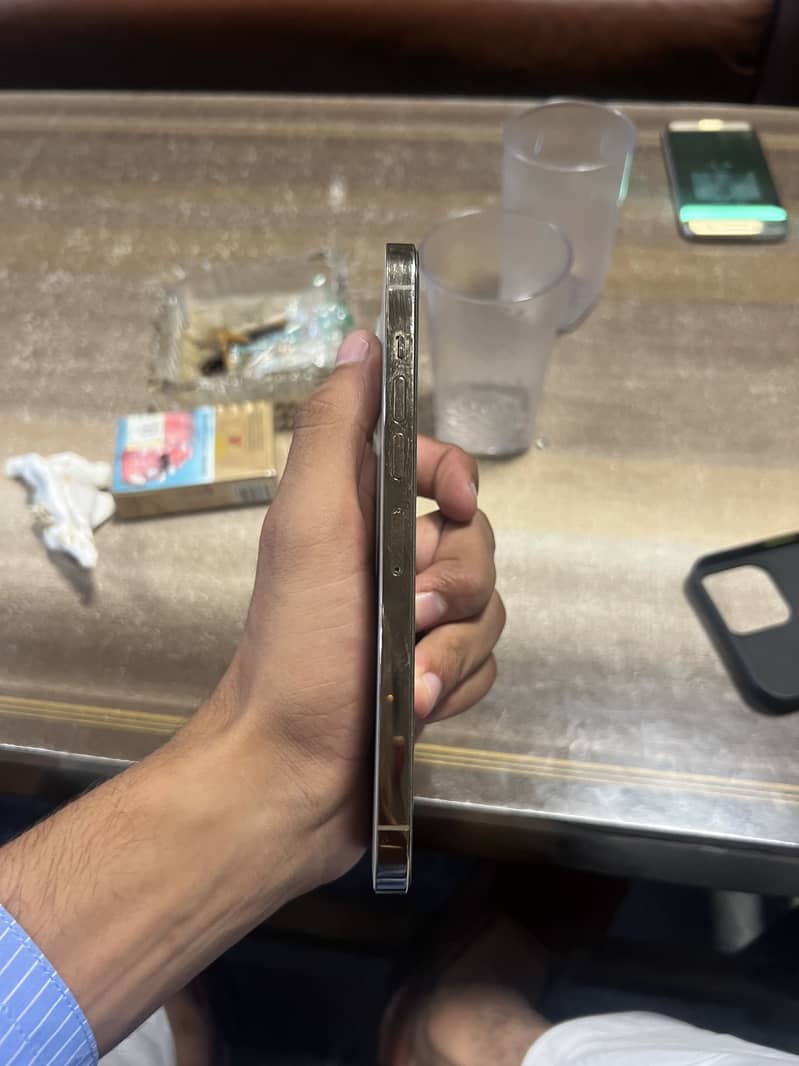 Apple iPhone 13 Pro Max 2