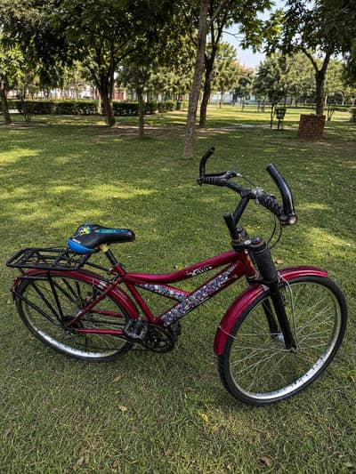 Bicycle