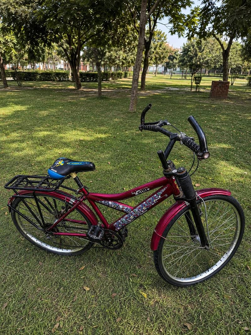 Bicycle 0