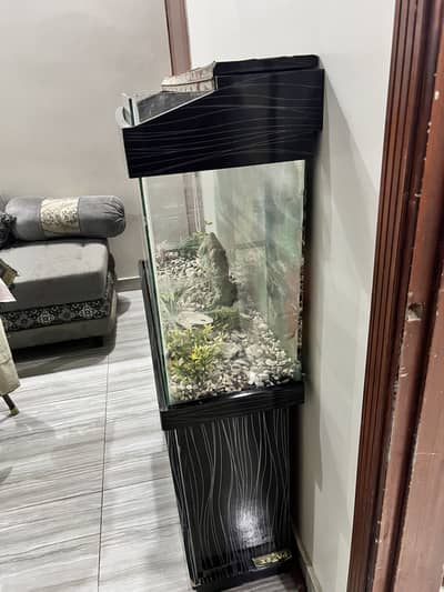 Fish Aquarium