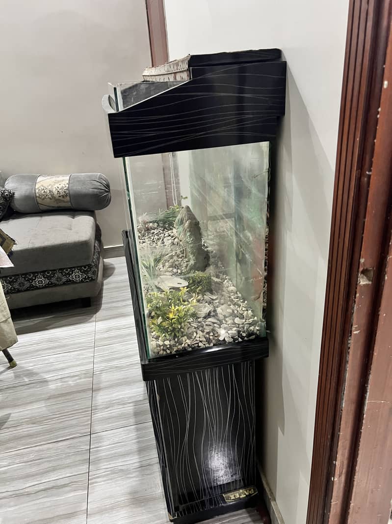 Fish Aquarium 0
