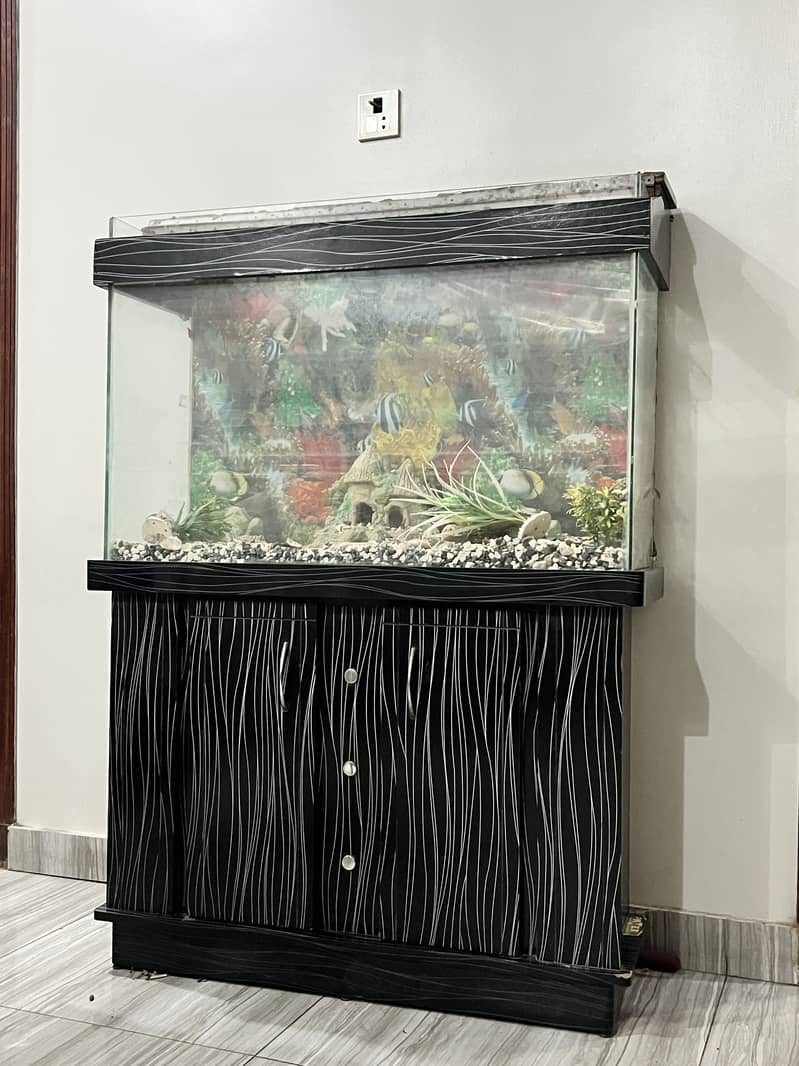 Fish Aquarium 1