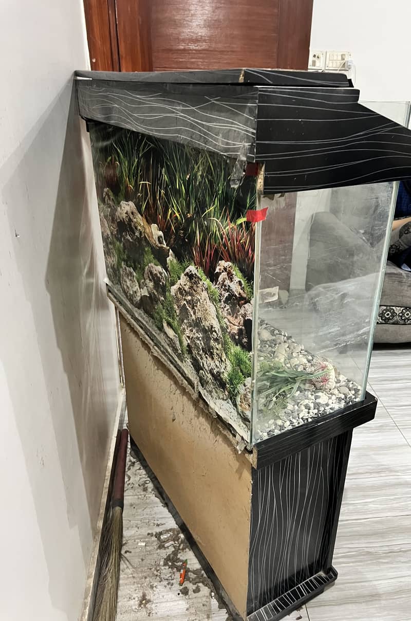 Fish Aquarium 2