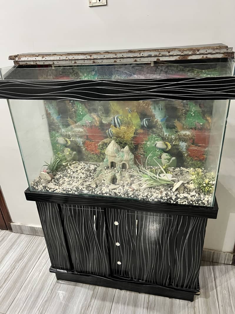 Fish Aquarium 3