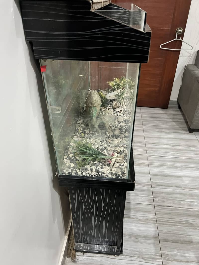 Fish Aquarium 4