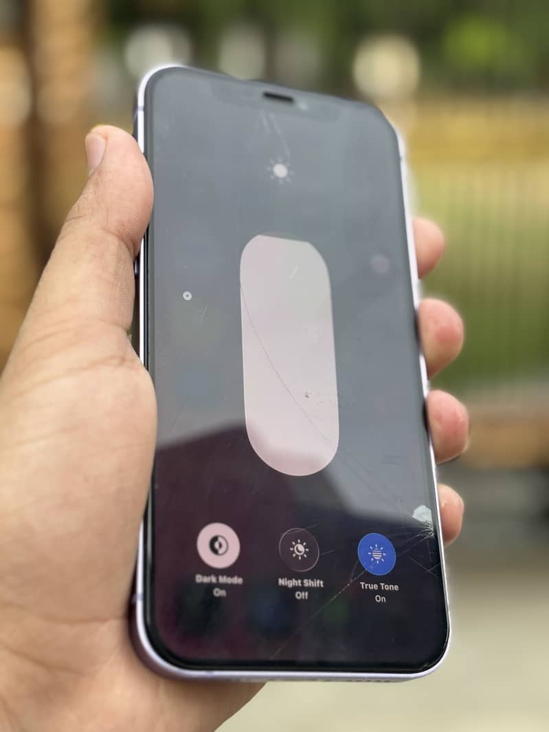 Apple iPhone 12 1