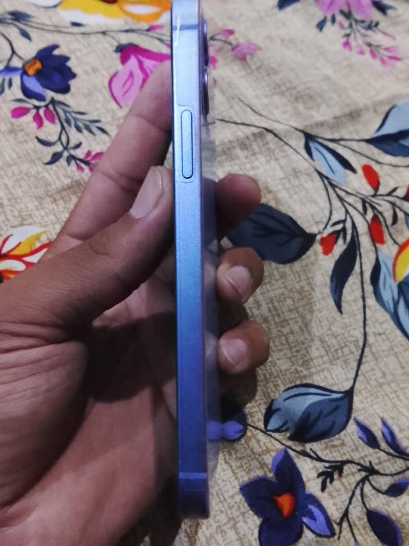 Apple iPhone 12 1