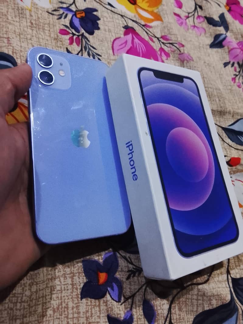 Apple iPhone 12 2
