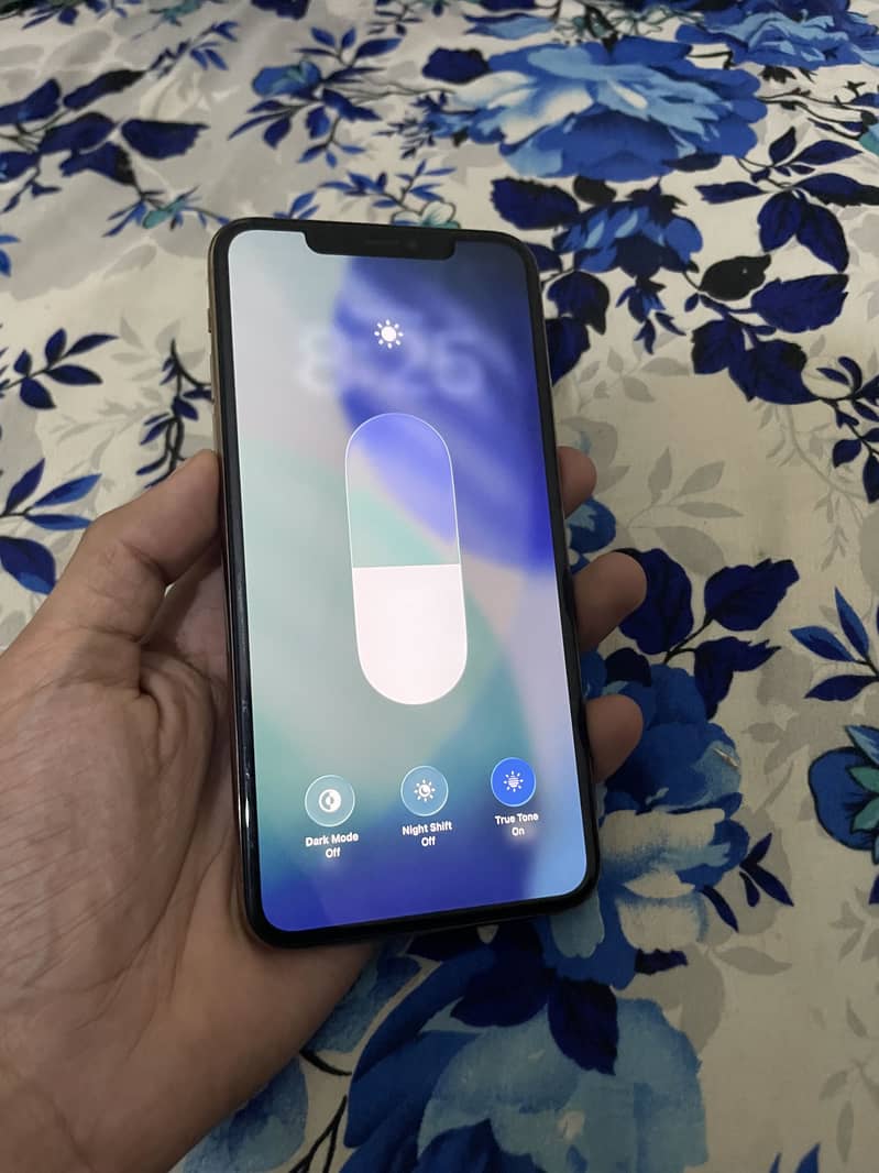Apple iPhone 11 Pro Max 1