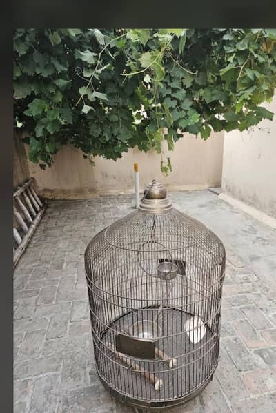 round cage for parrots