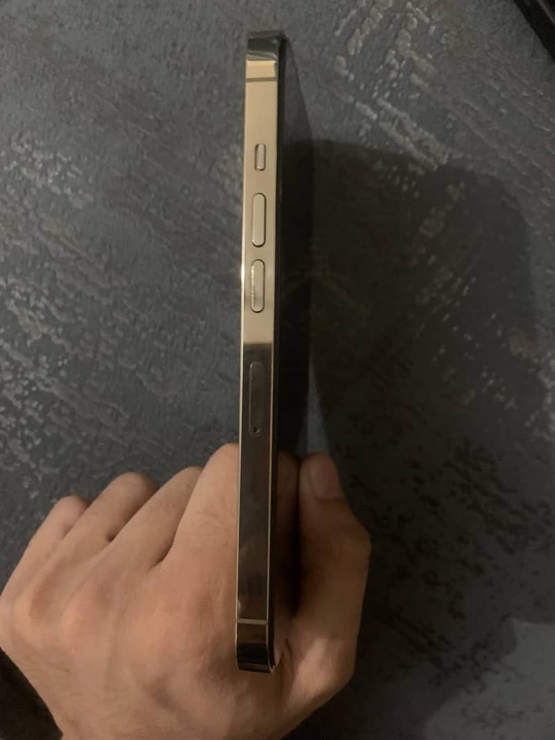 Apple iPhone 13 Pro 3