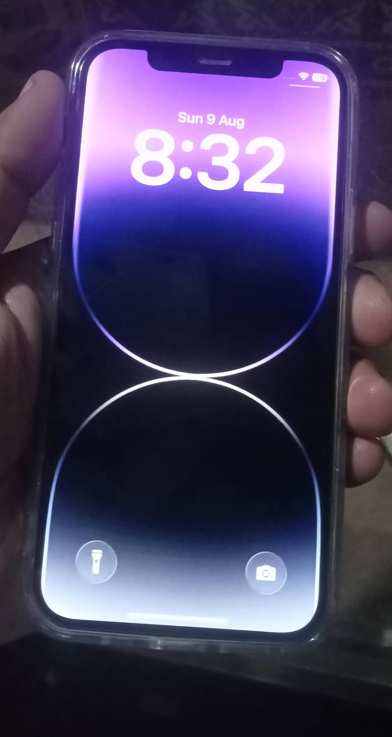 Apple iPhone 12 1