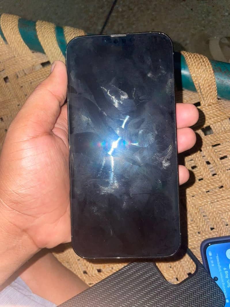 Apple iPhone 13 Pro Max 1