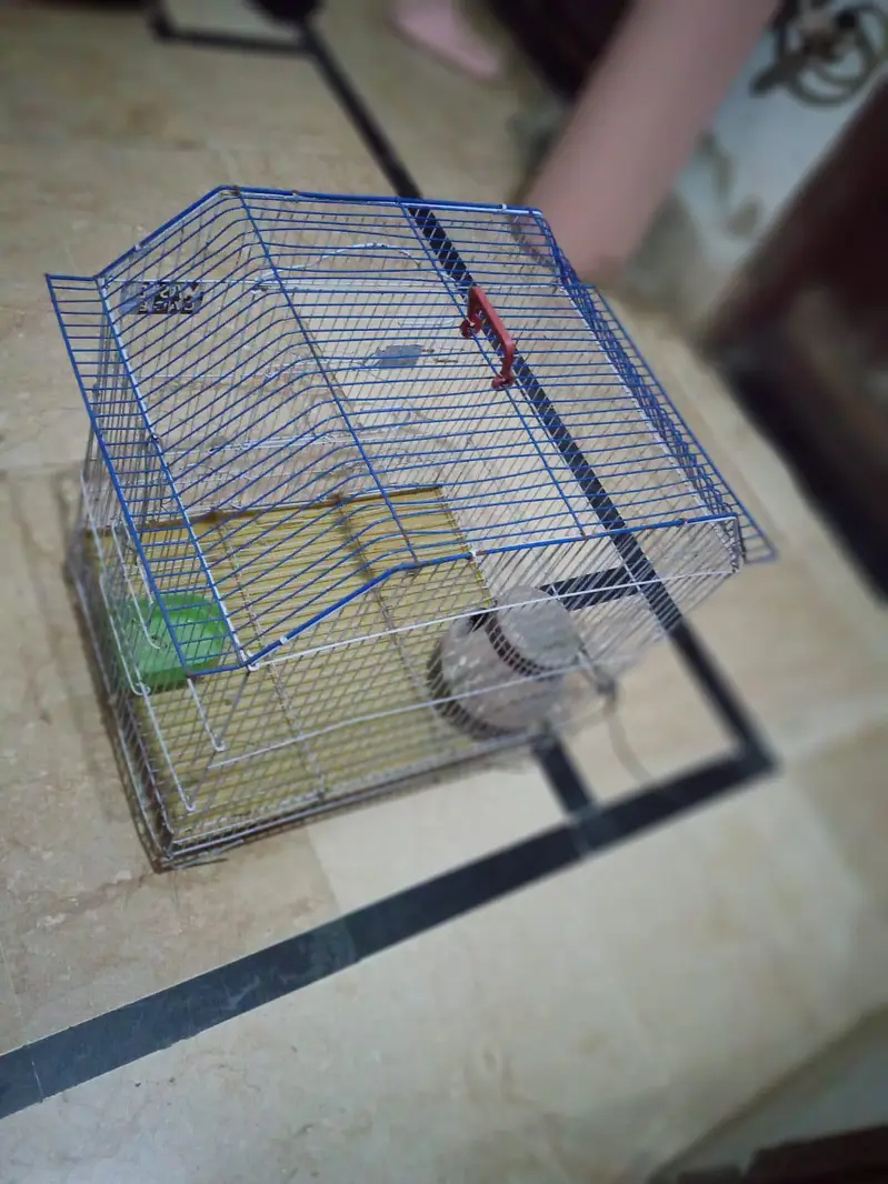 cage for sel price Sirf or Sirf 2499 — photo 4