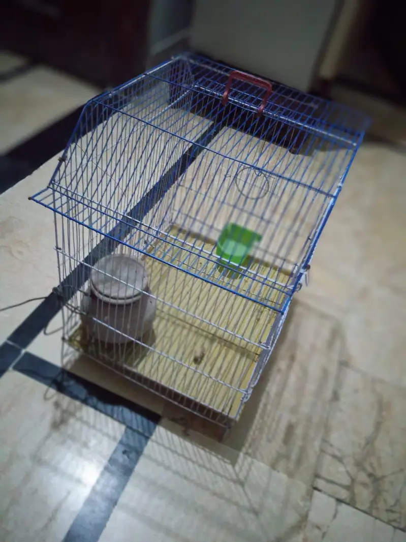 cage for sel price Sirf or Sirf 2499 — photo 5