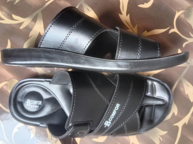 Slipper 1