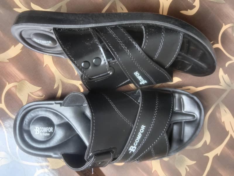 Slipper 2