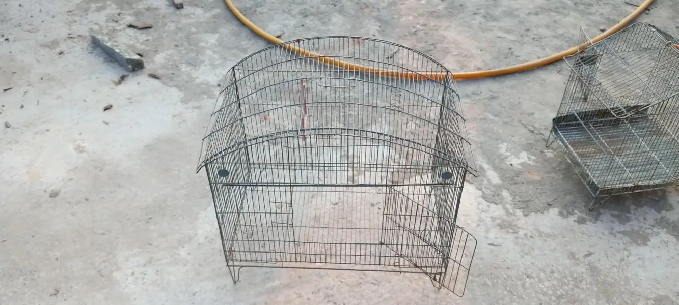 Cages for Sale – 1 Large & 1 Small — photo 3