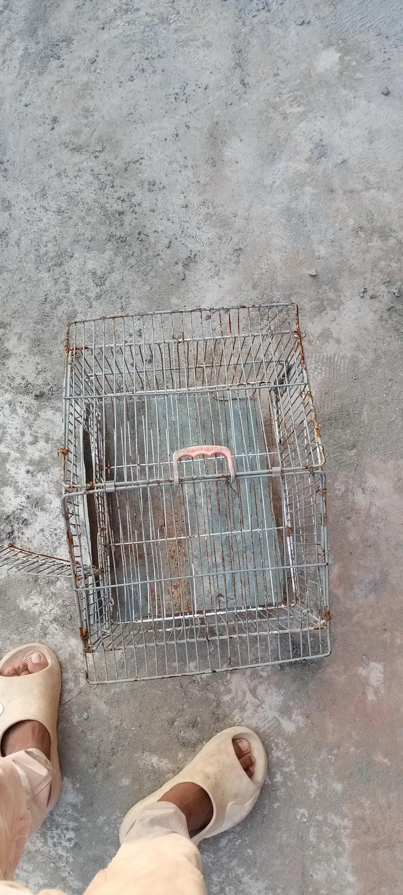 Cages for Sale – 1 Large & 1 Small — photo 8