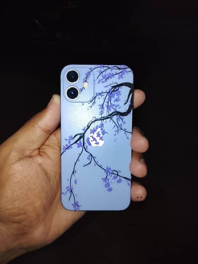 Apple iPhone 12 mini