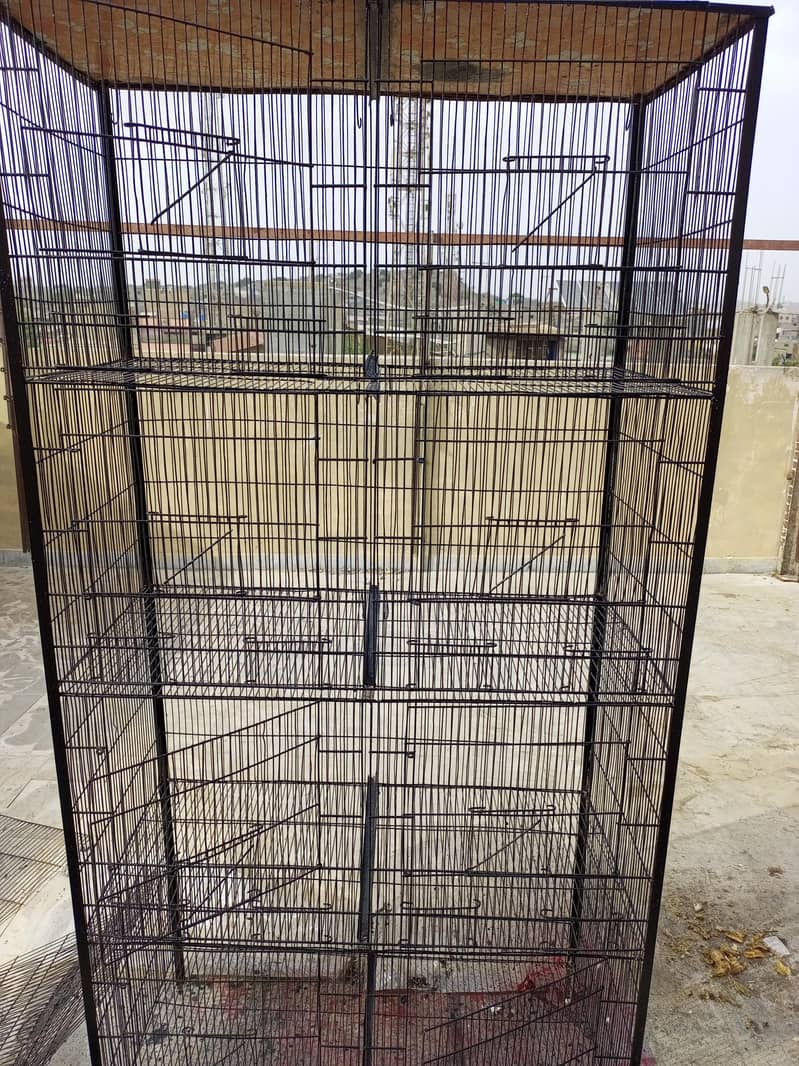 Fresh Cage 1