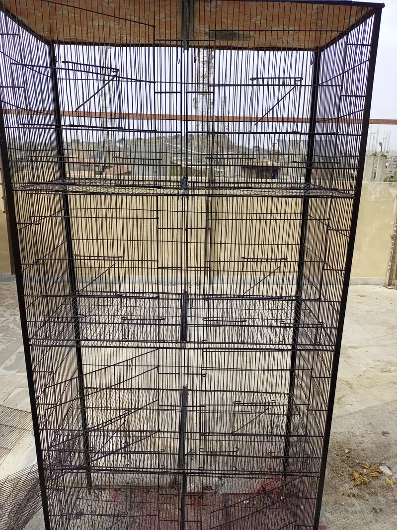 Fresh Cage — photo 2