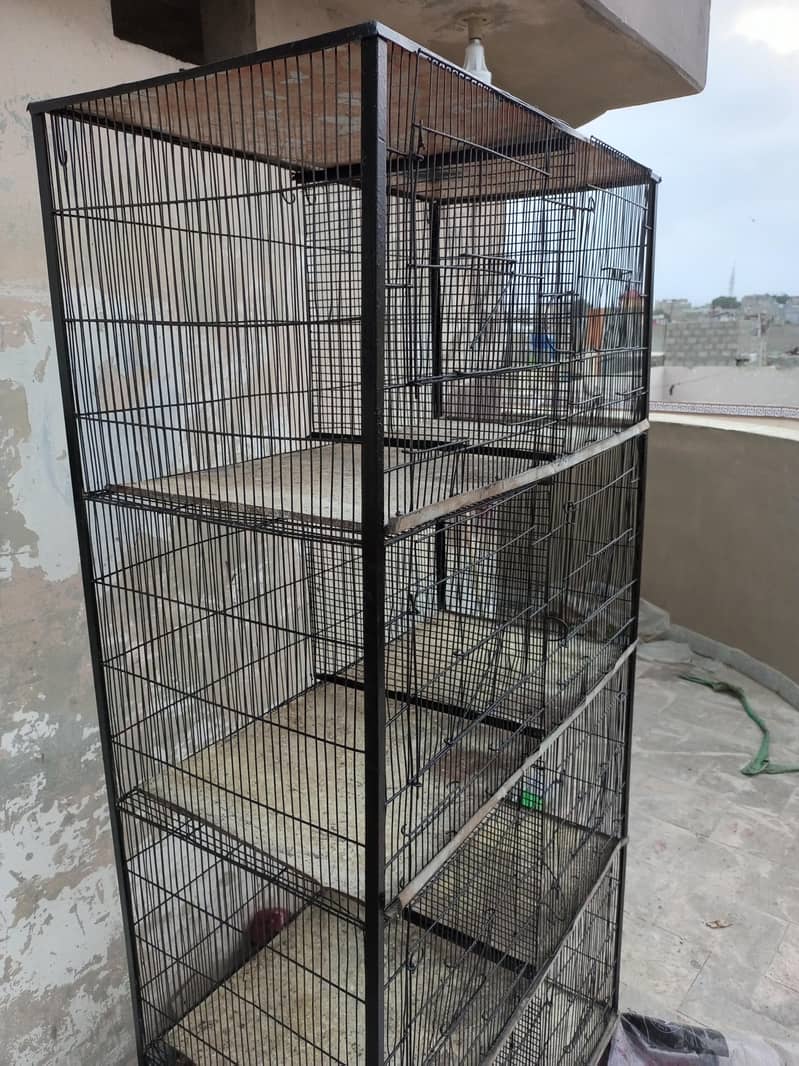 Fresh Cage 2