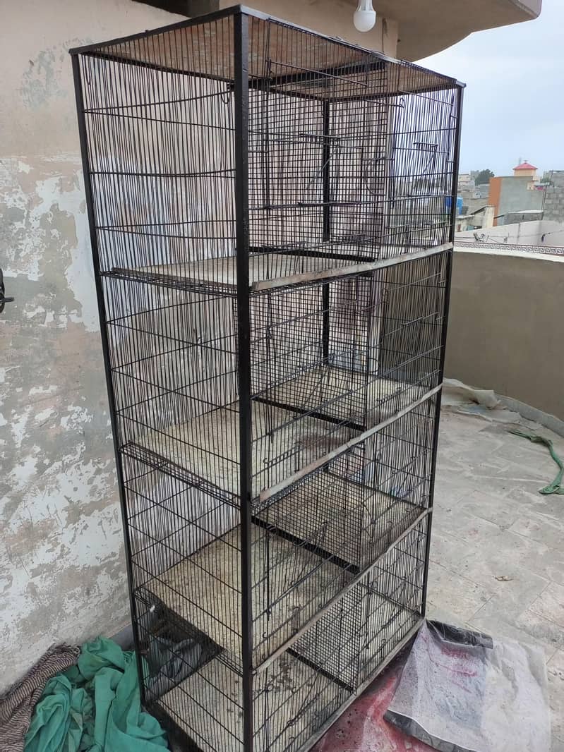 Fresh Cage 4