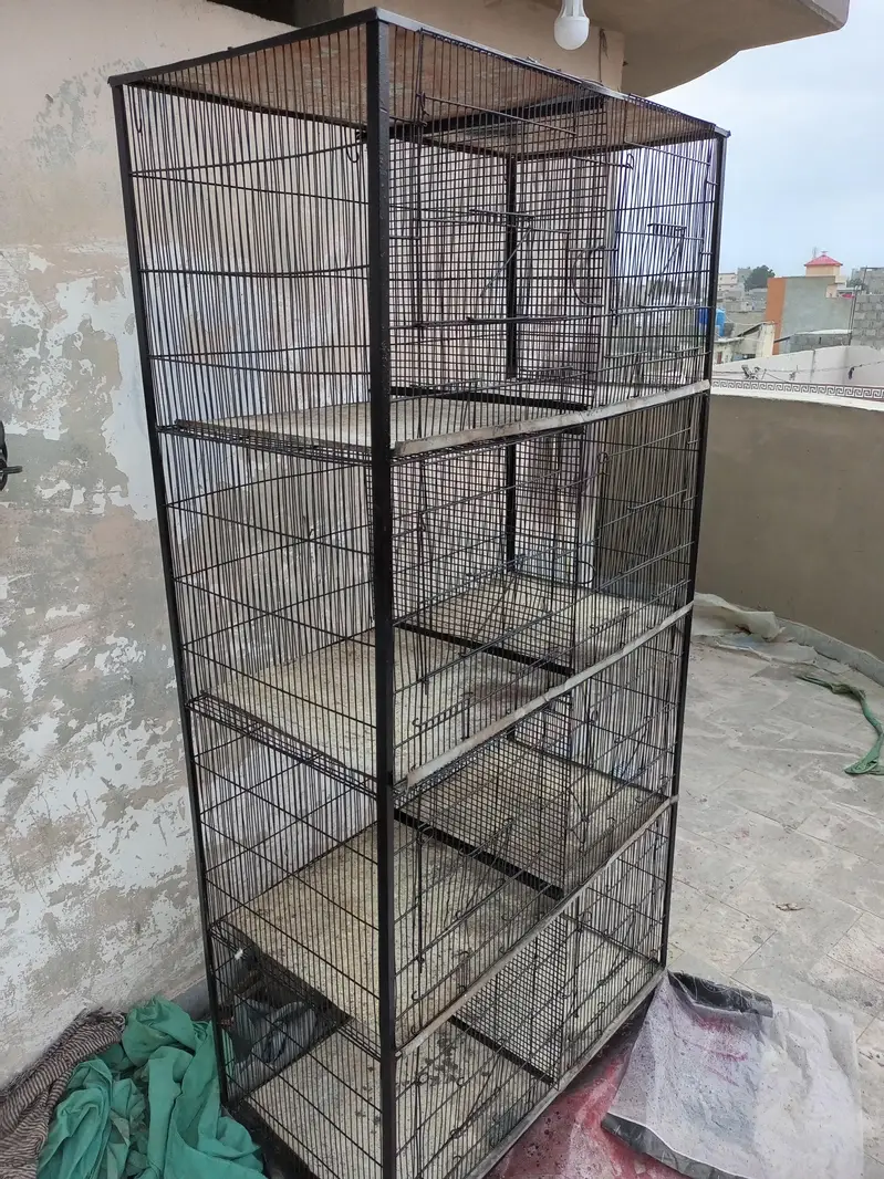 Fresh Cage — photo 5
