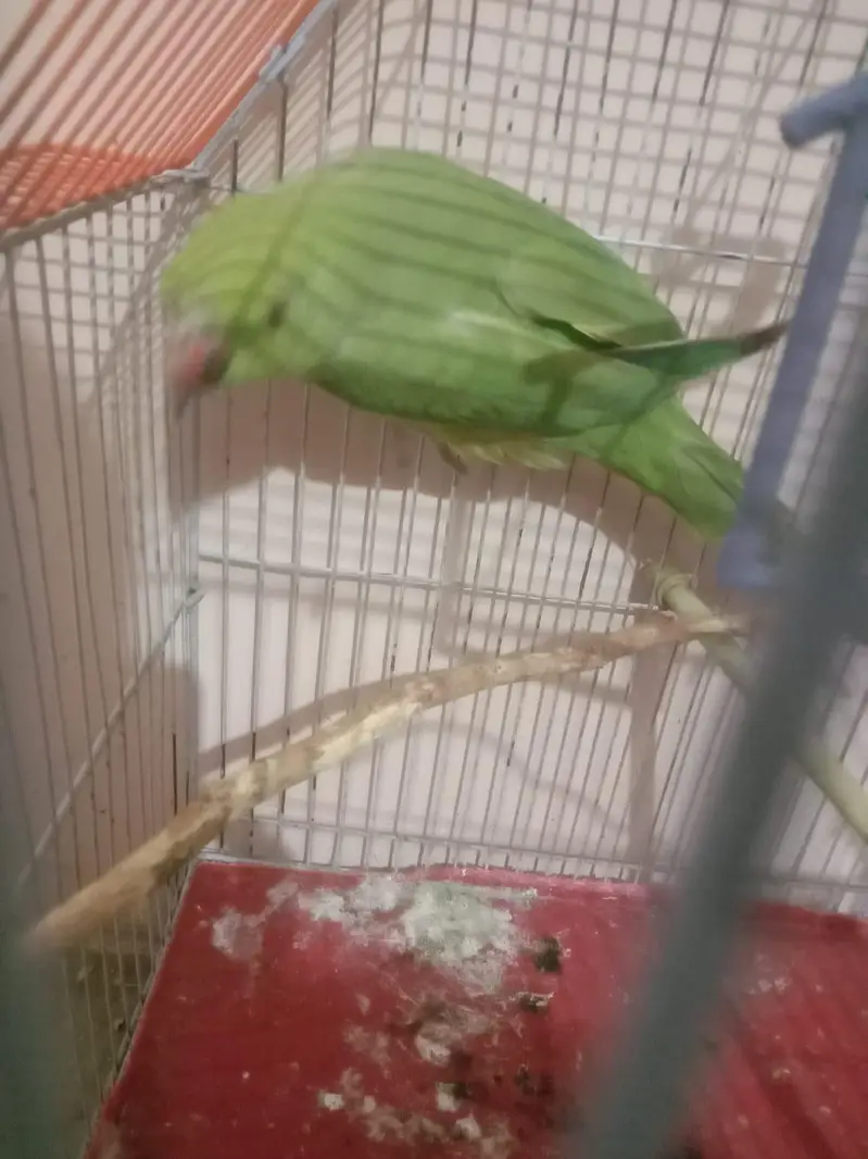 male. female — photo 5
