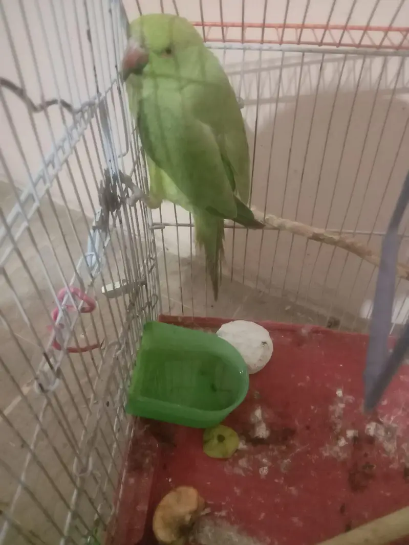 male. female — photo 9