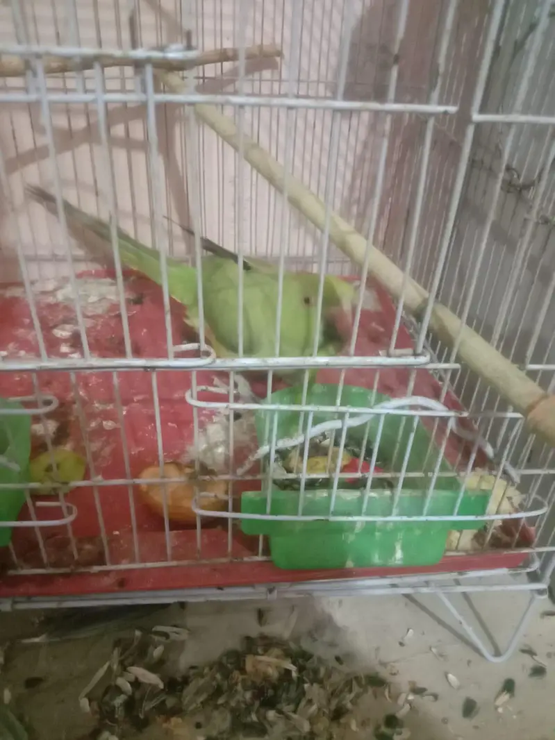 male. female — photo 10