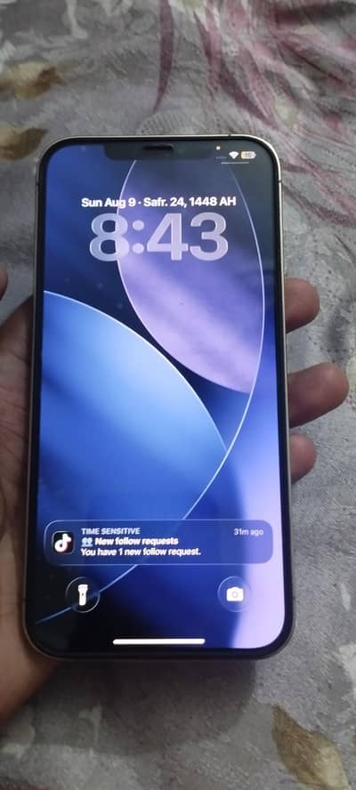 Apple iPhone 12 Pro Max