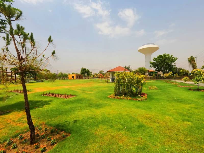 10 Marla Very Cheap Plot 6
