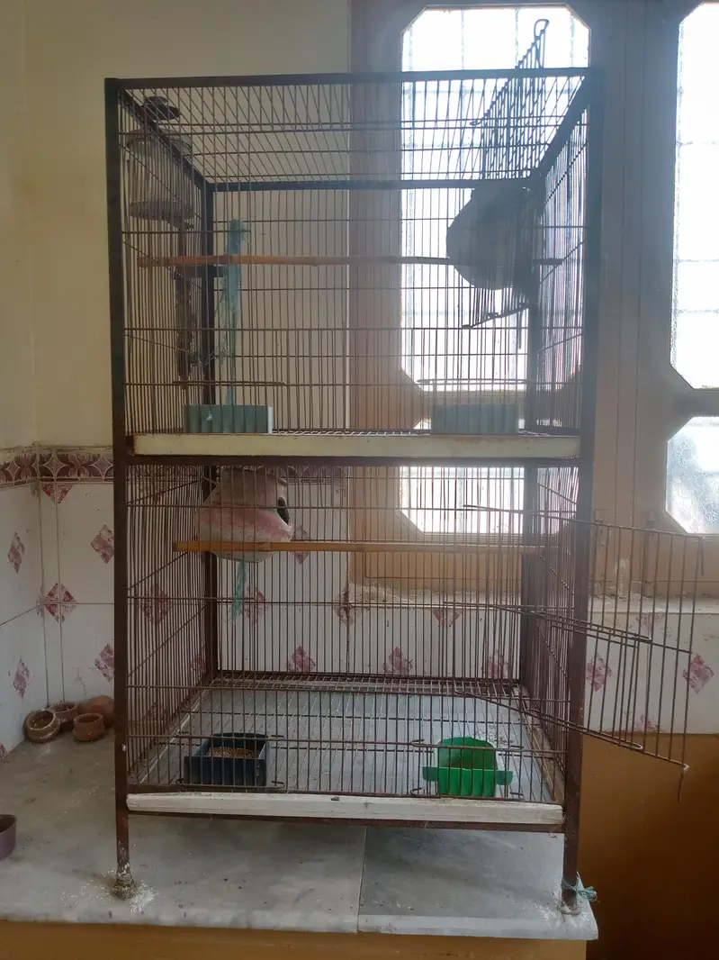 two cage serious buyer contact — photo 2