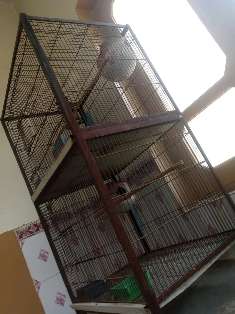 two cage serious buyer contact — photo 3