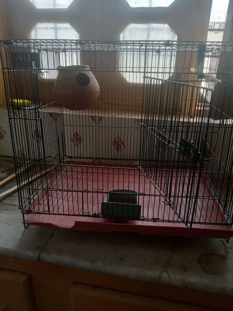 two cage serious buyer contact — photo 7
