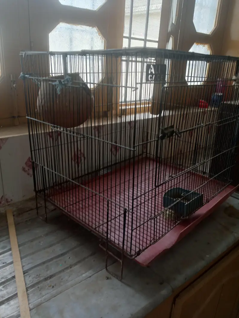 two cage serious buyer contact — photo 8