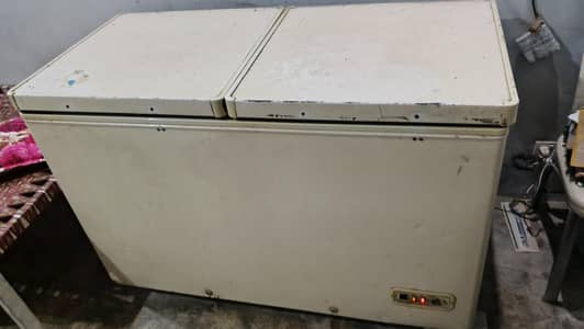 D freezer double door
