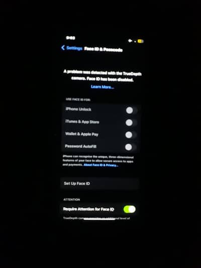Apple iPhone X