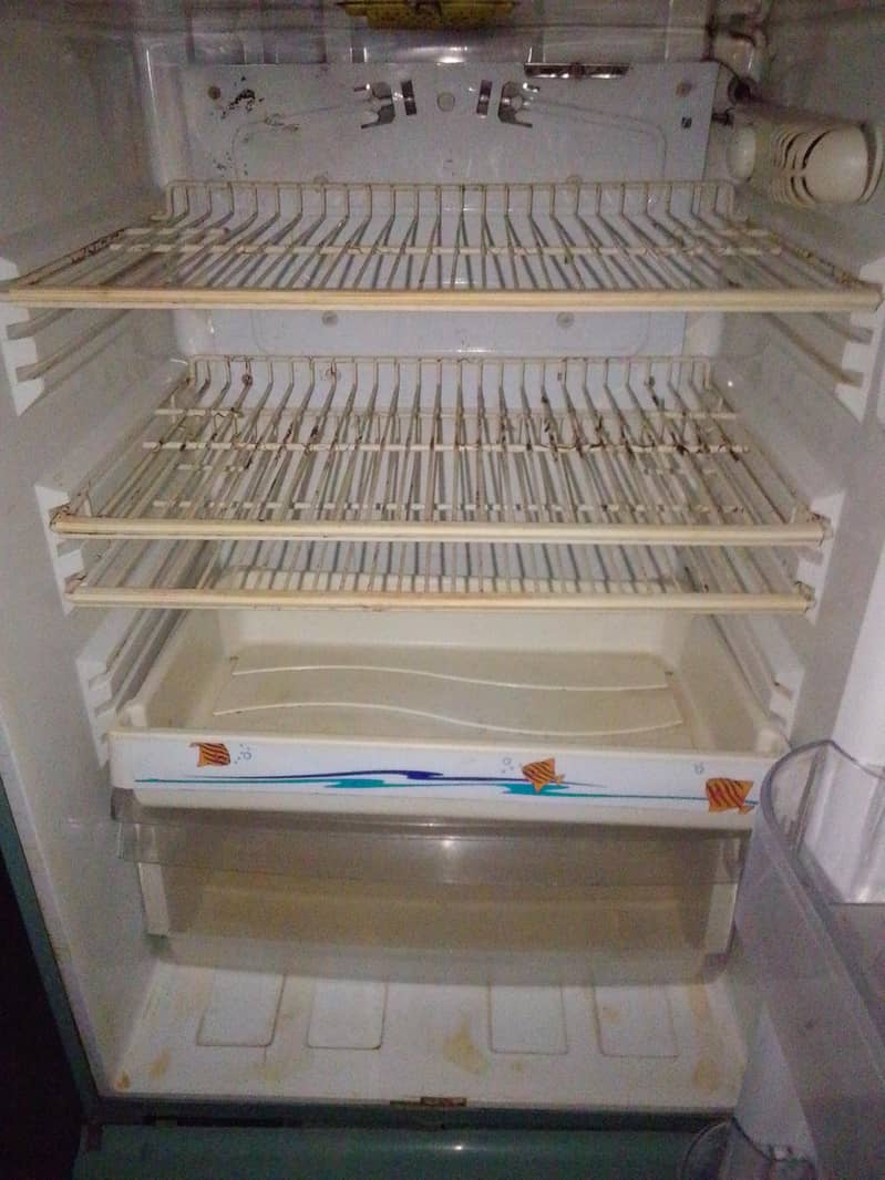 refrigerator 1