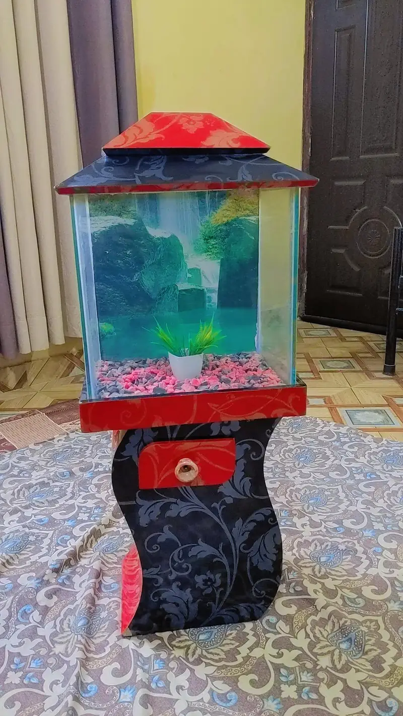 Aquarium fish tank — photo 2