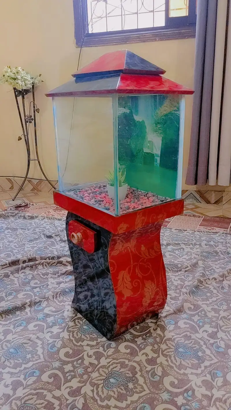 Aquarium fish tank — photo 3