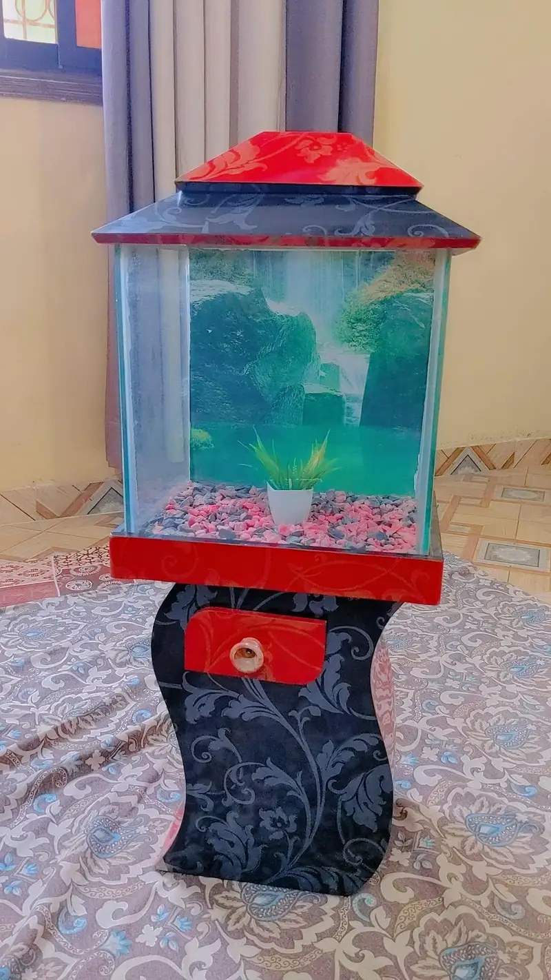Aquarium fish tank — photo 4