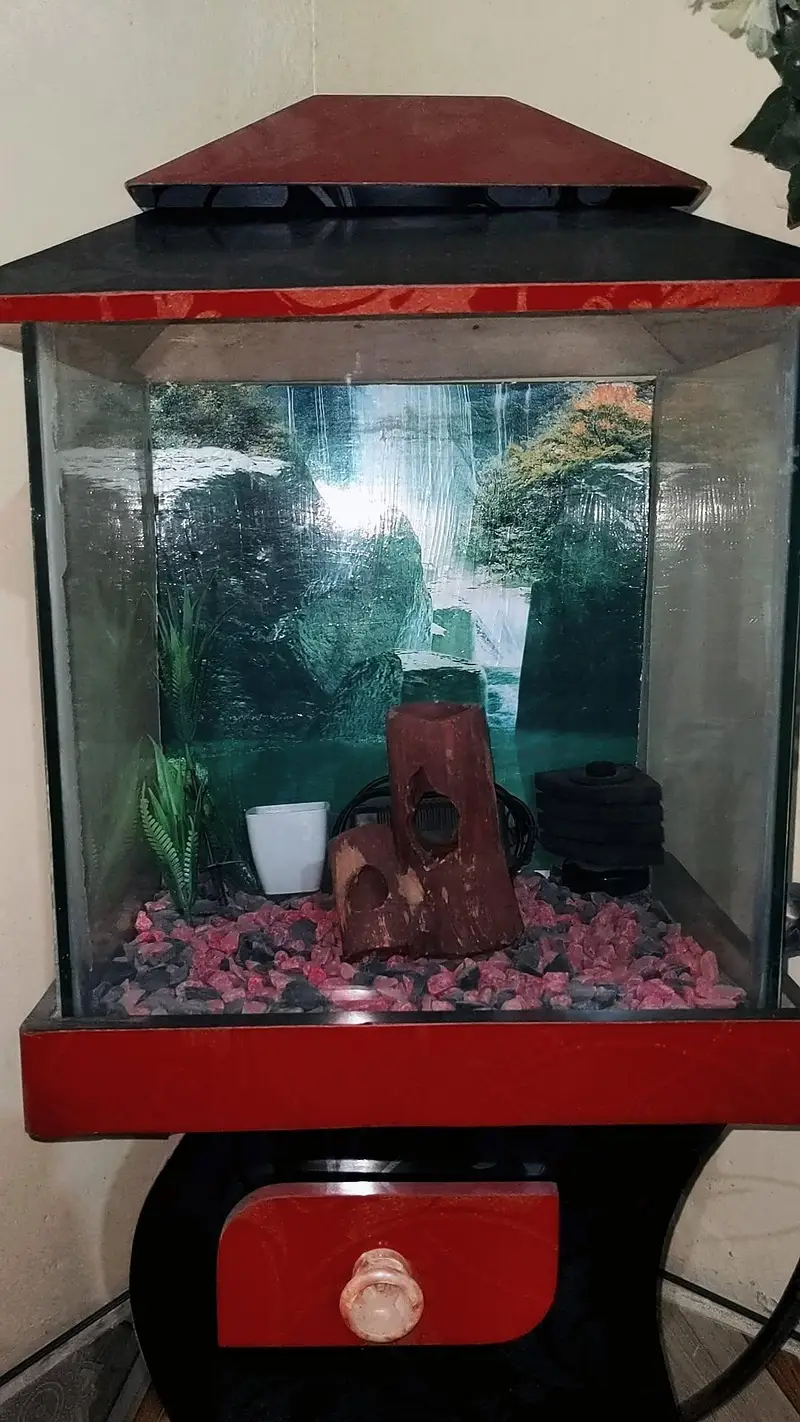 Aquarium fish tank — photo 5