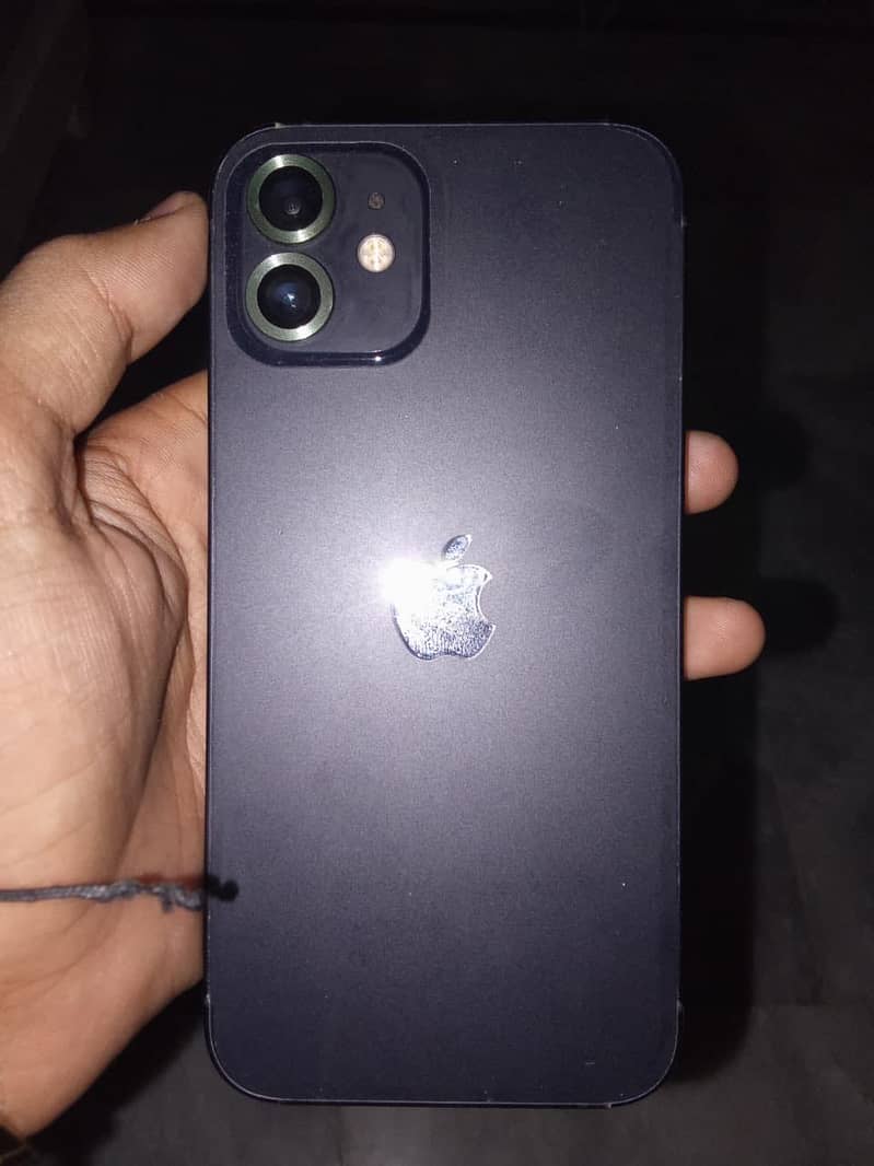 Apple iPhone 12 1