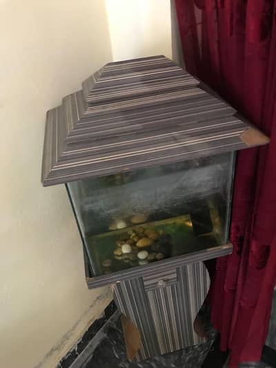 2 goldfishes with aquarium